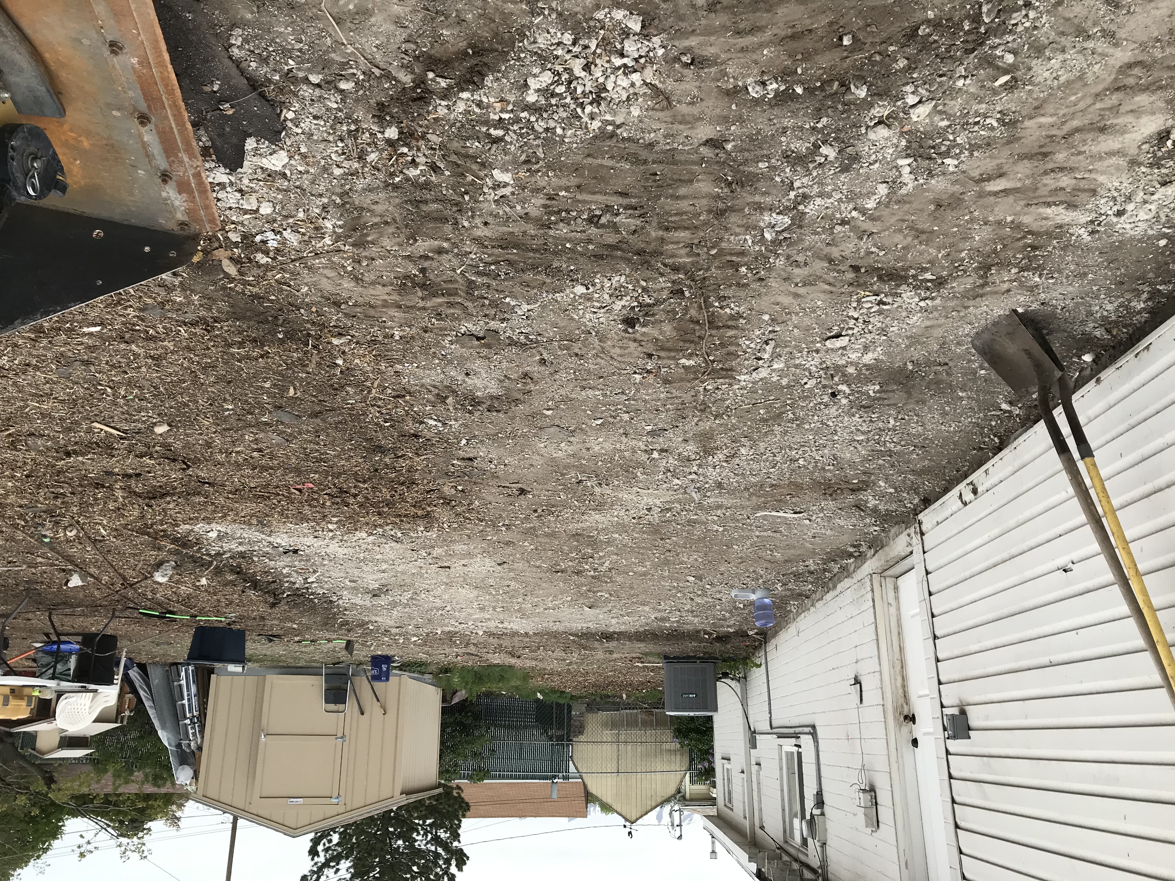 Side yard before concrete